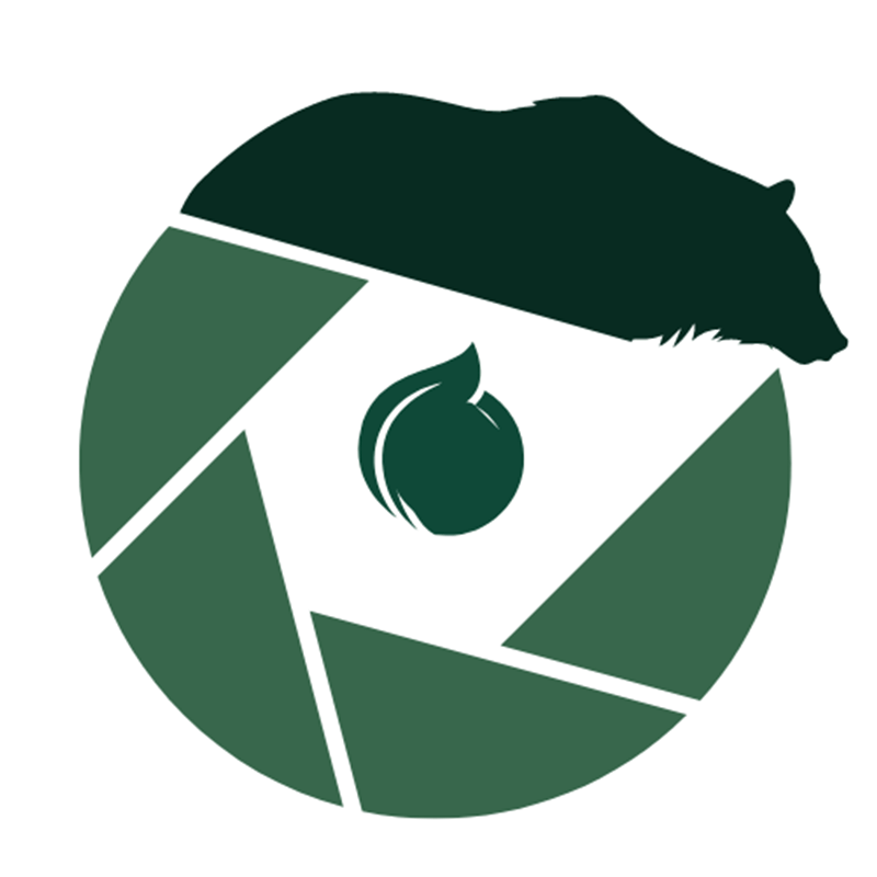 Safari_Snap